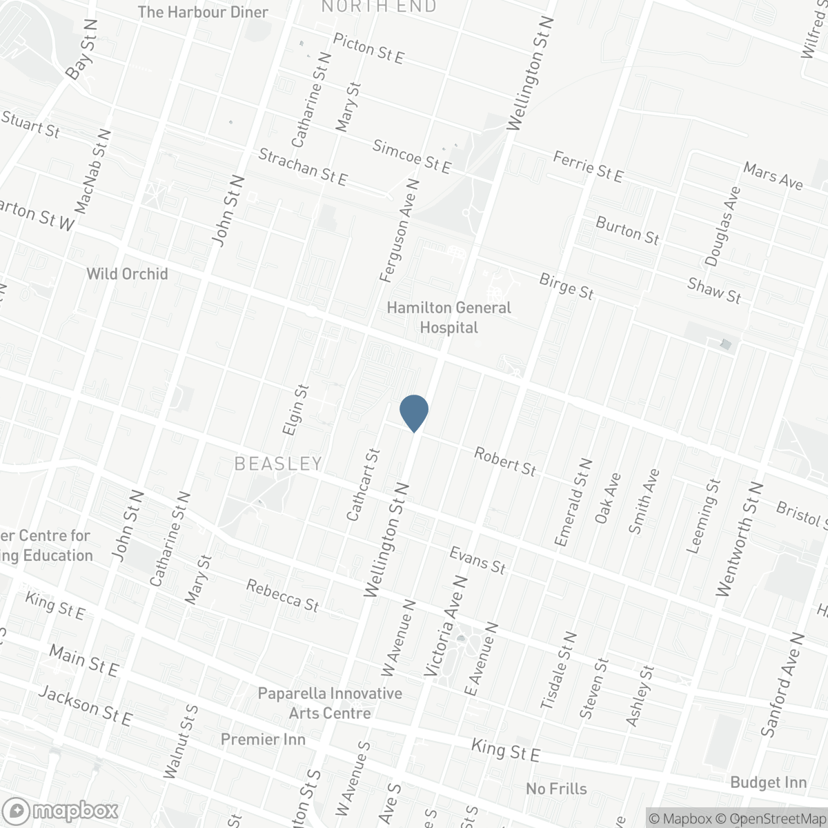 227 WELLINGTON STREET N, Hamilton, Ontario L8L 5A7